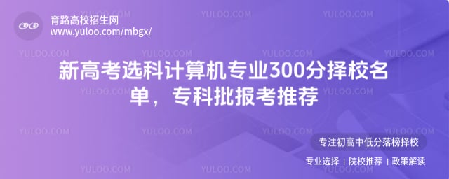 新高考选科计算机专业300分择校