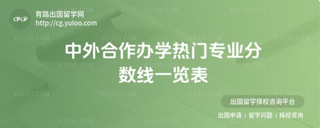 中外合作办学热门专业分数线
