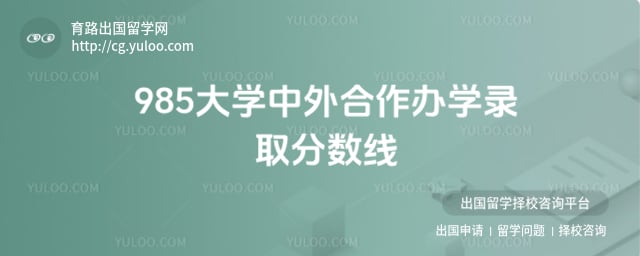 985大学中外合作办学录取分数线