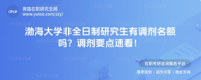 渤海大学非全日制研究生有调剂名额吗