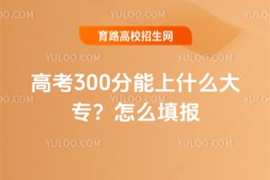 2026��߿�300������ʲô��ר����ô�