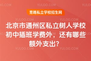 北京市通州区私立树人学校初中插班学费外，还有哪些额外支出？