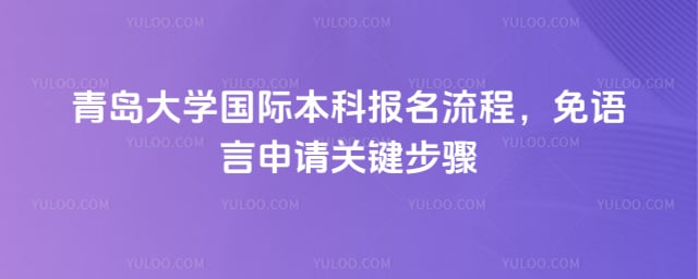 青岛大学国际本科报名流程