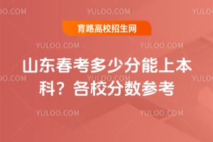 2026ɽ���������ٷ����ϱ��ƣ���У�����ο�