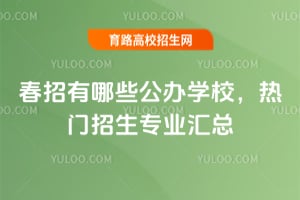 2026��������Щ����ѧУ����������רҵ����