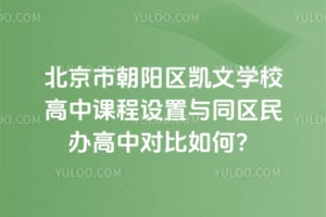 北京市朝阳区凯文学校高中课程设置与同区民办高中对比如何？
