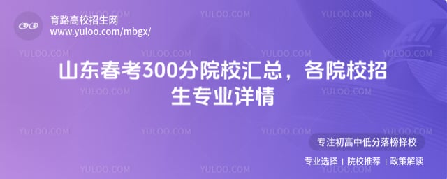 2026ɽ������300��ԺУ����