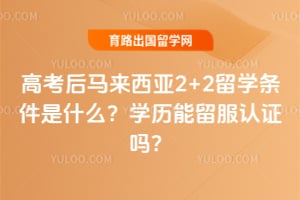 �߿�����������2+2��ѧ������ʲô��2026��ѧ����������֤��