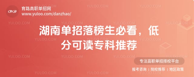 ���ϵ������