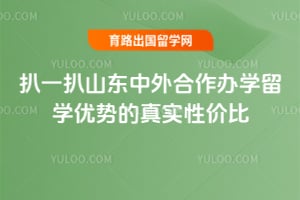 ��һ��2026��ɽ�����������ѧ��ѧ���Ƶ���ʵ�Լ۱�