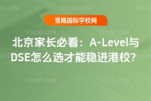 北京家长必看:A-Level与DSE怎么选才能稳进港校?