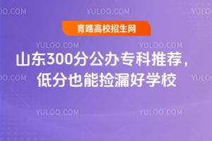 2026ɽ��300�ֹ���ר���Ƽ����ͷ�Ҳ�ܼ�©��ѧУ