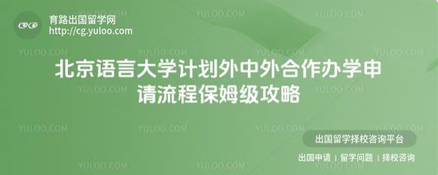 北京语言大学计划外中外合作办学申请流程