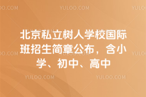 北京私立树人学校国际班2026年招生简章公布，含小学、初中、高中