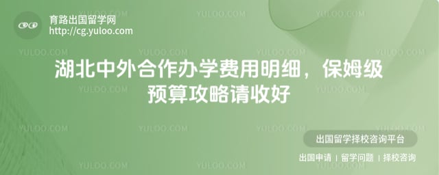 湖北中外合作办学费用