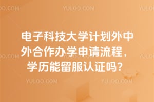 电子科技大学计划外中外合作办学申请流程，2026年学历能留服认证吗？