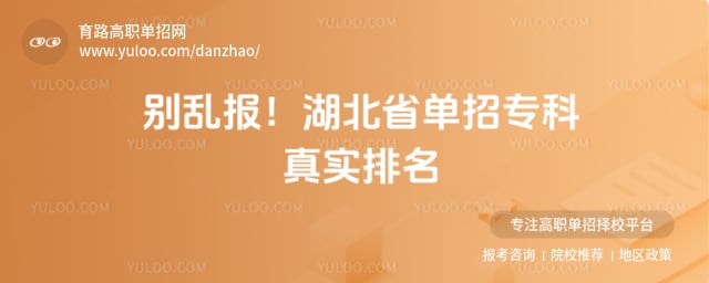 湖北省单招专科真实排名