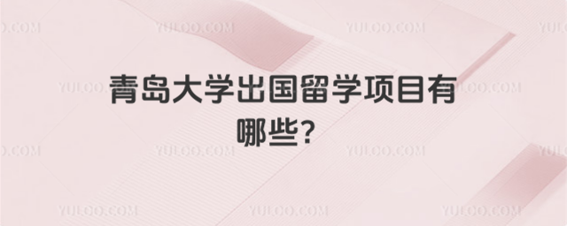 青岛大学出国留学项目