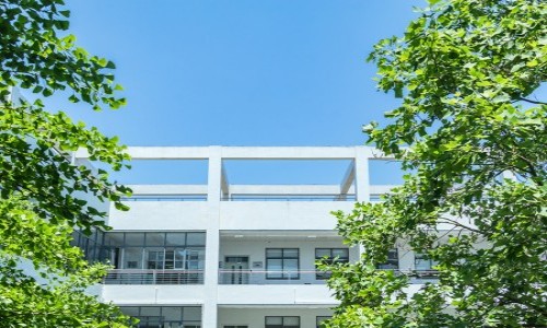 青苗学校(普高部)高中课程设置