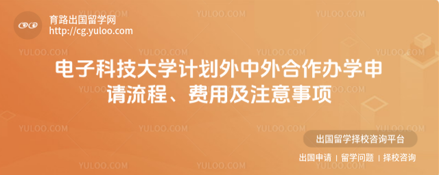 电子科技大学计划外中外合作办学申请流程