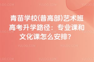 青苗学校(普高部)艺术班高考升学路径：专业课和文化课怎么安排？