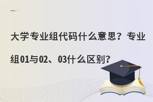 ��ѧרҵ�����ʲô��˼��רҵ��01��02��03ʲô����