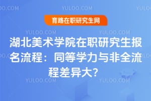 湖北美术学院在职研究生报名流程：同等学力与非全流程差异大？
