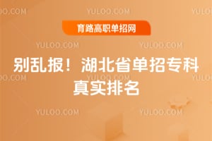 别乱报！2026湖北省单招专科真实排名