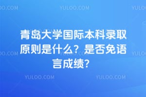 青岛大学国际本科录取原则是什么？2026年是否免语言成绩？