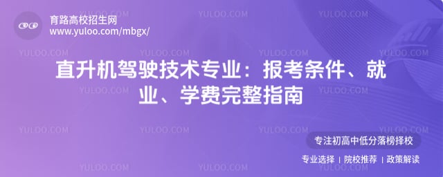 ֱ������ʻ����רҵ����