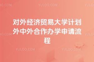 2026年对外经济贸易大学计划外中外合作办学申请流程