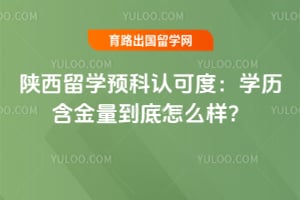 2026年陕西留学预科认可度:学历含金量到底怎么样?