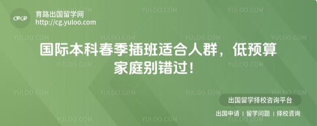 国际本科春季插班适合人群