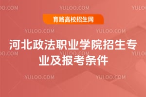 �ӱ�����ְҵѧԺ2026����רҵ����������