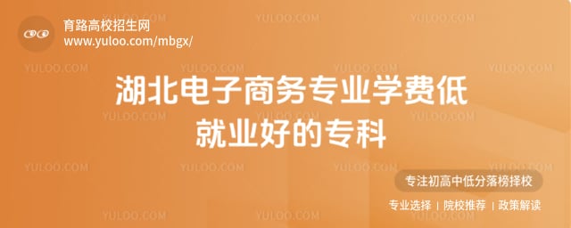 湖北电子商务专业专科