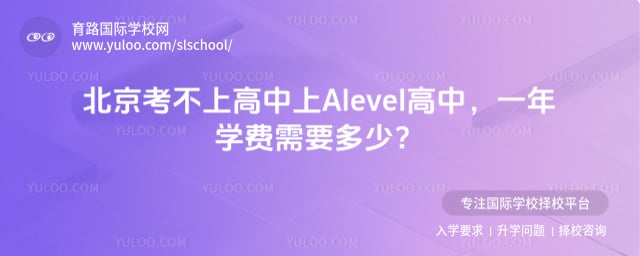 �����ϸ�����Alevel����