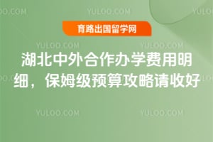 2026年湖北中外合作办学费用明细,保姆级预算攻略请收好