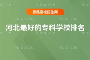 2026��ӱ���õ�ר��ѧУ����