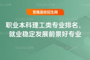 ְҵ����������רҵ��������ҵ�ȶ���չǰ����רҵ