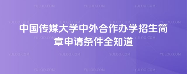 中国传媒大学中外合作办学招生简章