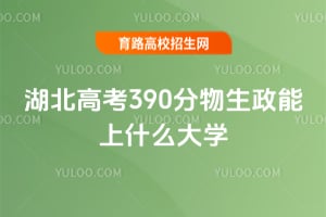 �����߿�390������������ʲô��ѧ��