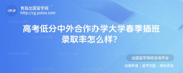 高考低分中外合作办学大学春季插班