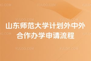 2026年山东师范大学计划外中外合作办学申请流程