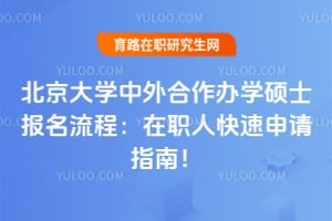 北京大学中外合作办学硕士报名流程：在职人快速申请指南！