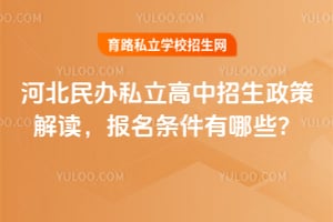 2026��ӱ����˽�������������߽����������������Щ��