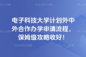 电子科技大学计划外中外合作办学申请流程，2026保姆级攻略收好！
