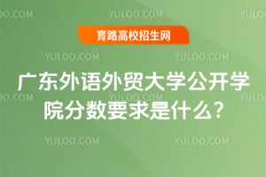 �㶫������ó��ѧ����ѧԺ����Ҫ����ʲô?