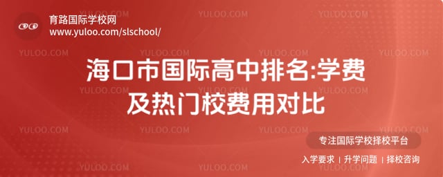 �����й��ʸ�������