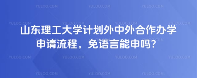 山东理工大学计划外中外合作办学申请流程