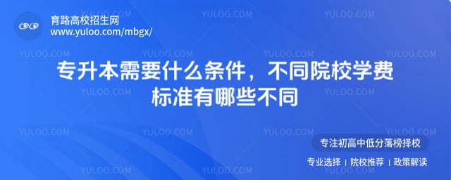 ר������Ҫʲô����